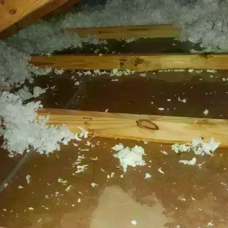 Attic Water Damage in Wantagh, NY